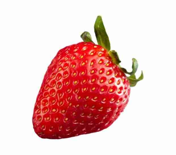 fresa