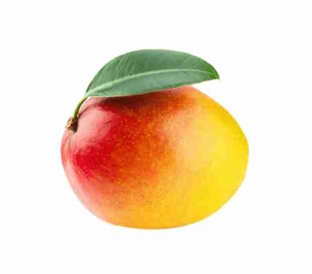 mango tommy