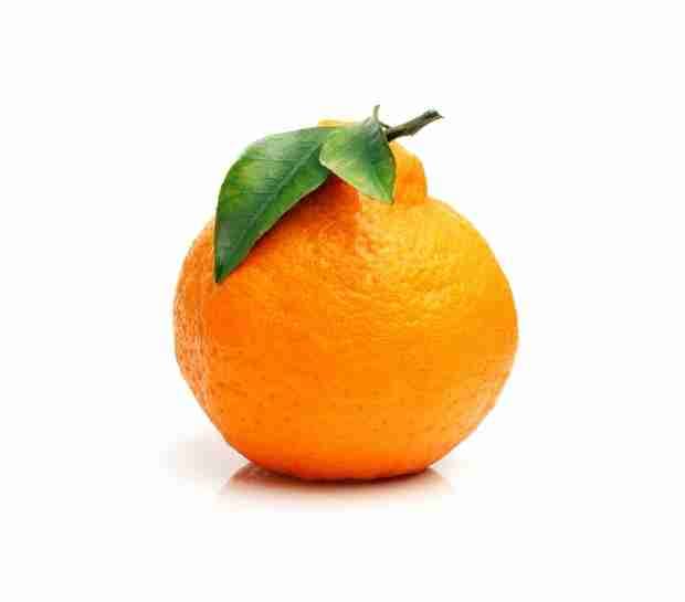naranja comun