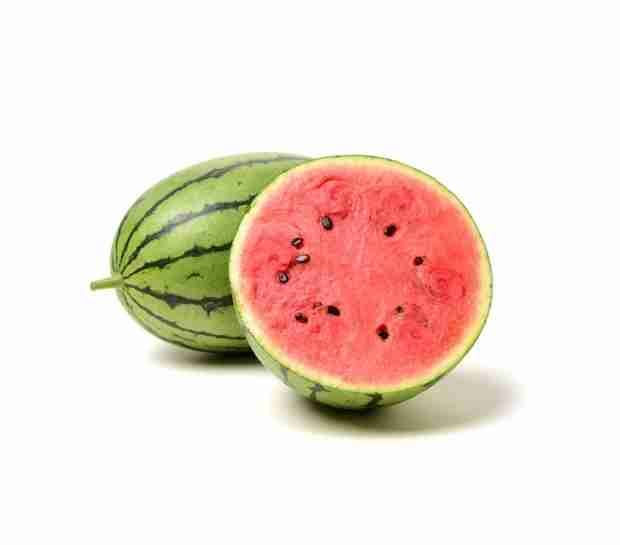 patilla baby 1
