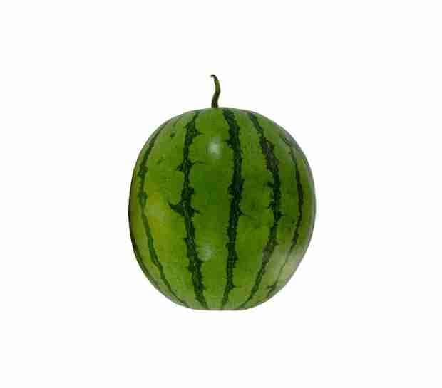 patilla baby